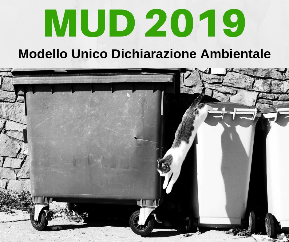 MUD 2019